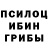 Псилоцибиновые грибы прущие грибы Yermekbaev Zangaar