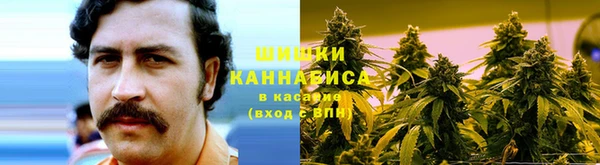 бошки Верхний Тагил