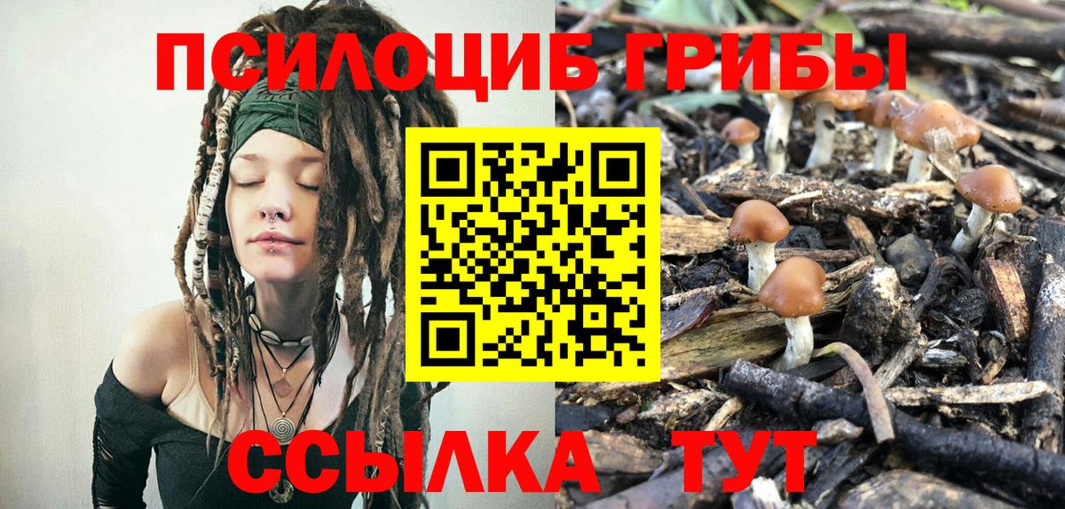 Псилоцибиновые грибы Magic Shrooms Сафоново