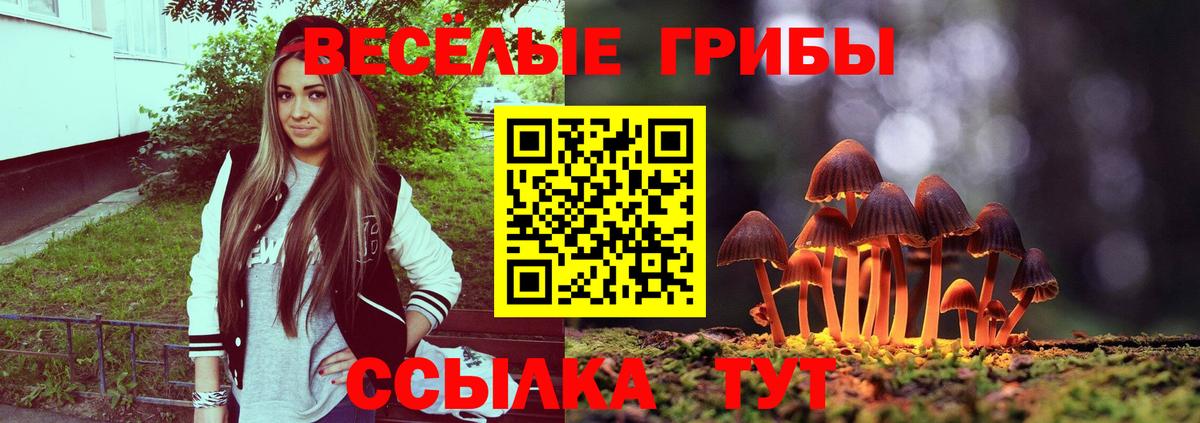 Псилоцибиновые грибы Cubensis Сафоново