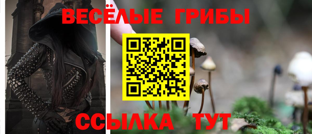 Псилоцибиновые грибы MAGIC MUSHROOMS  Вход с VPN  Сафоново 